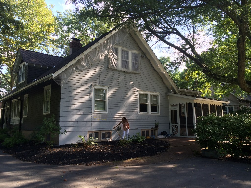 We had a long search for the perfect warm gray and white house set in a piney woods.